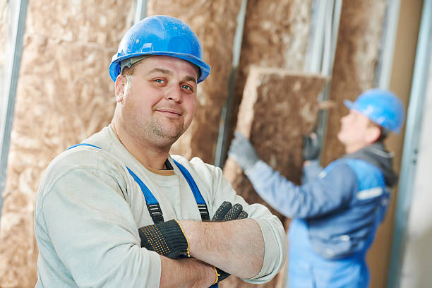 Best Insulation Maintenance and Repair in Mckinley, PA