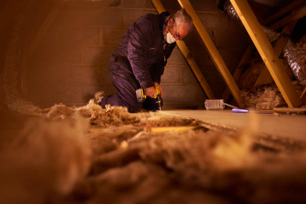 Best Residential Insulation in Mckinley, PA